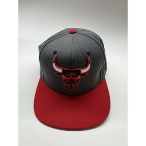 Mitchell & Ness Hardwood Classics NBA Chicago Bulls Snap Back Hat‎ Gray